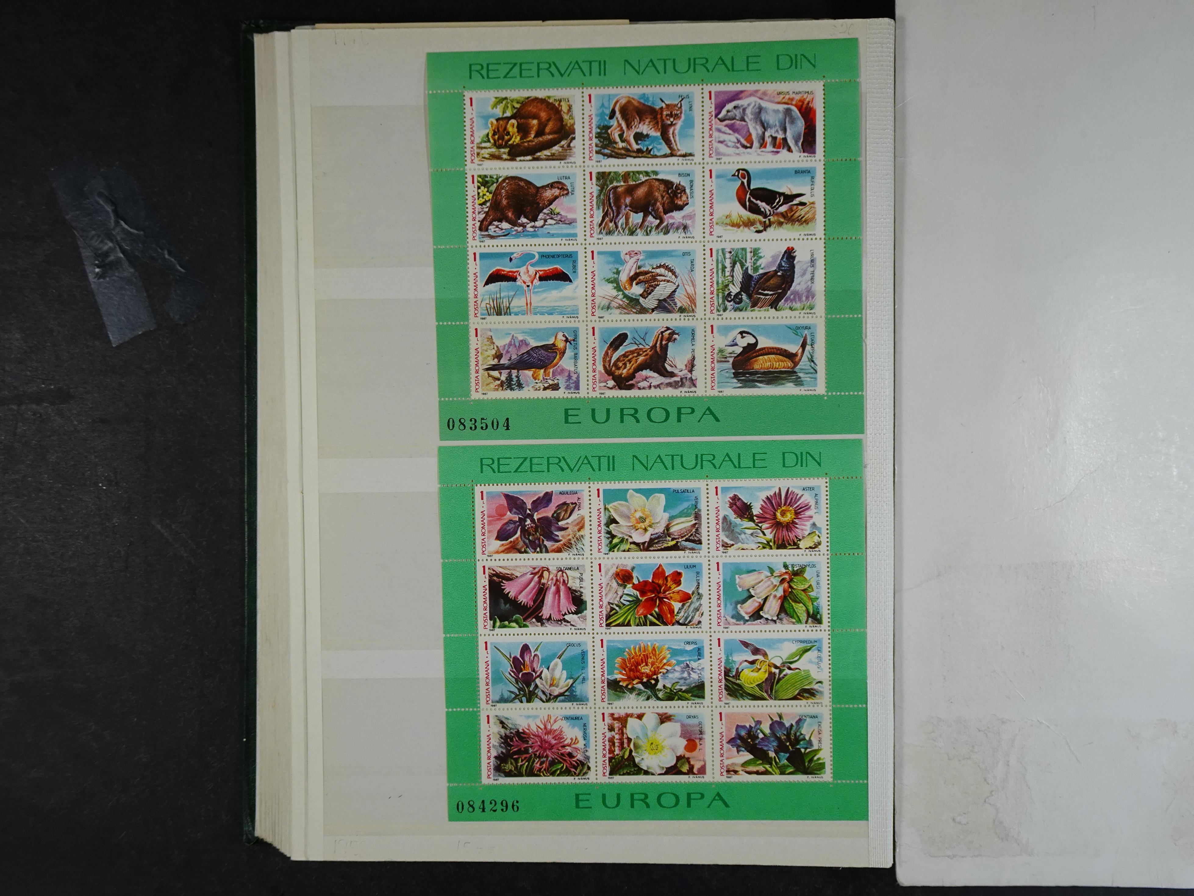 Partij blokken waarbij beter Jaren 40. 25