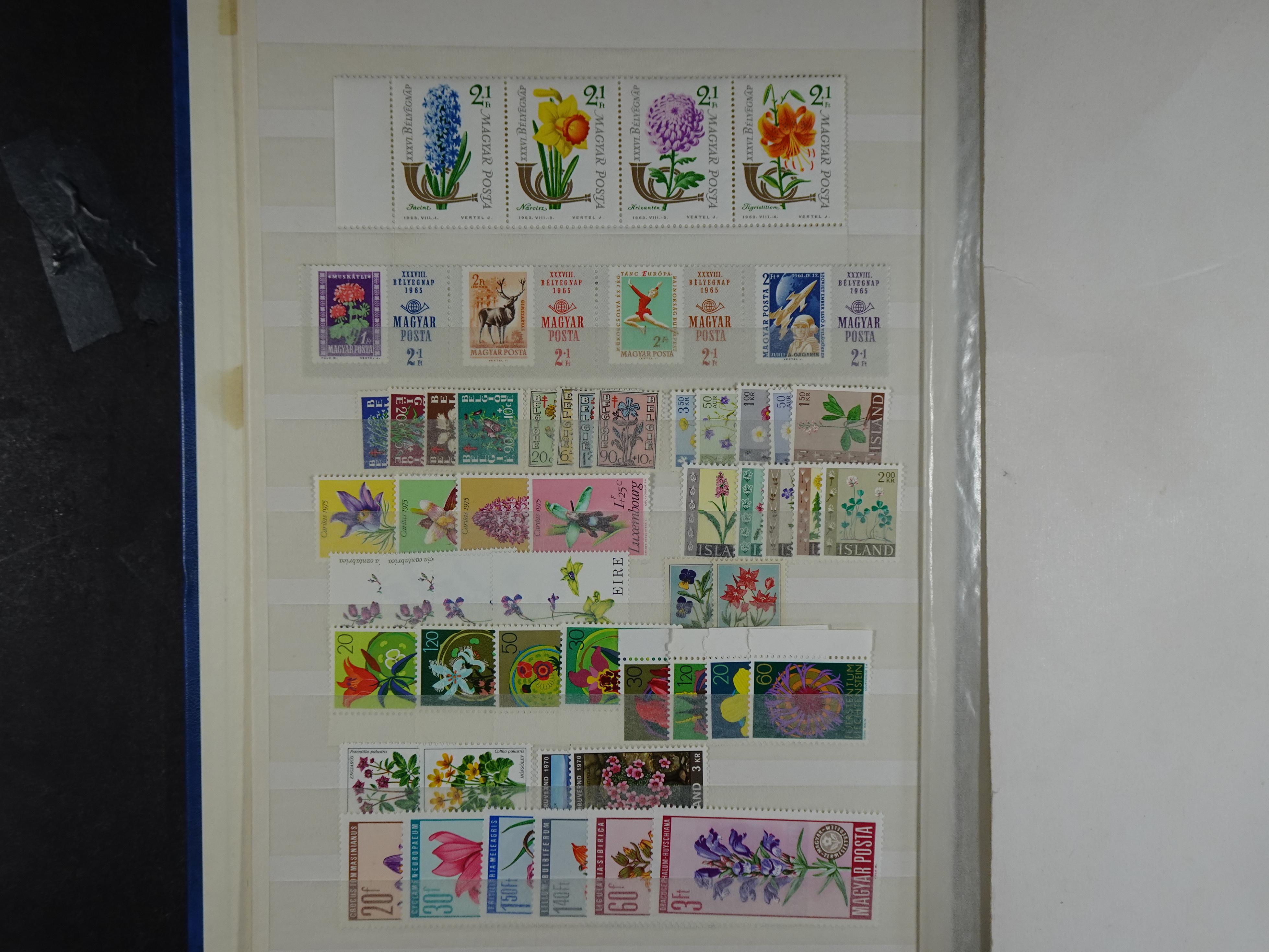 Veel motief leuke waarde! mooie koop. 2