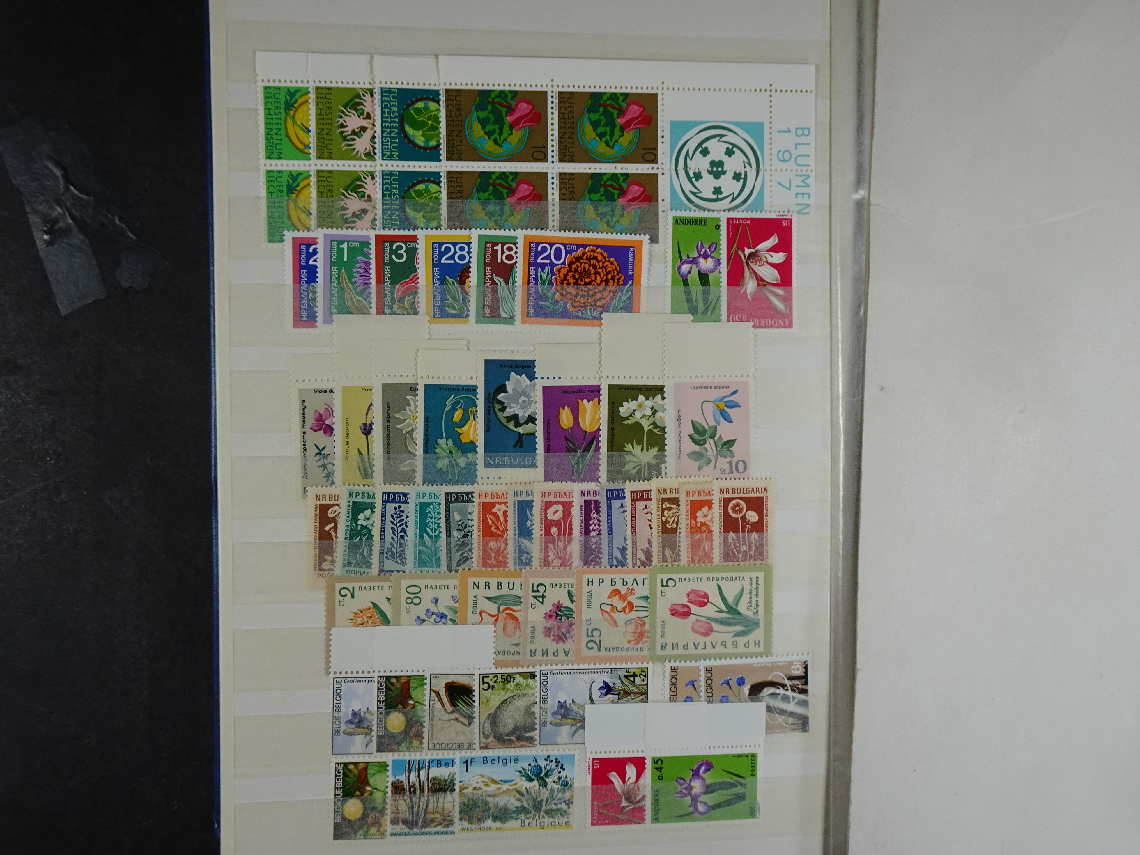 Veel motief leuke waarde! mooie koop. 6