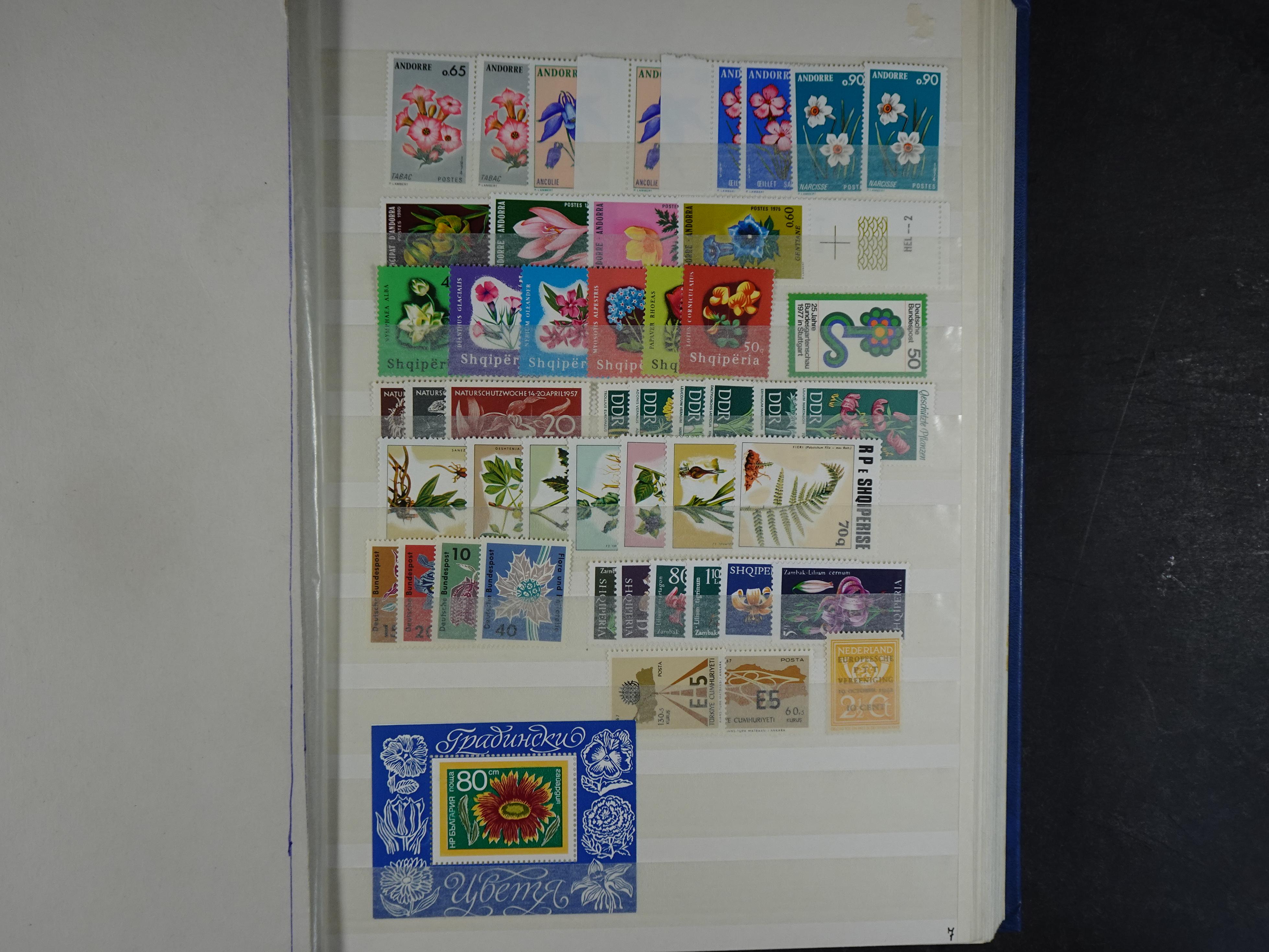 Veel motief leuke waarde! mooie koop. 7