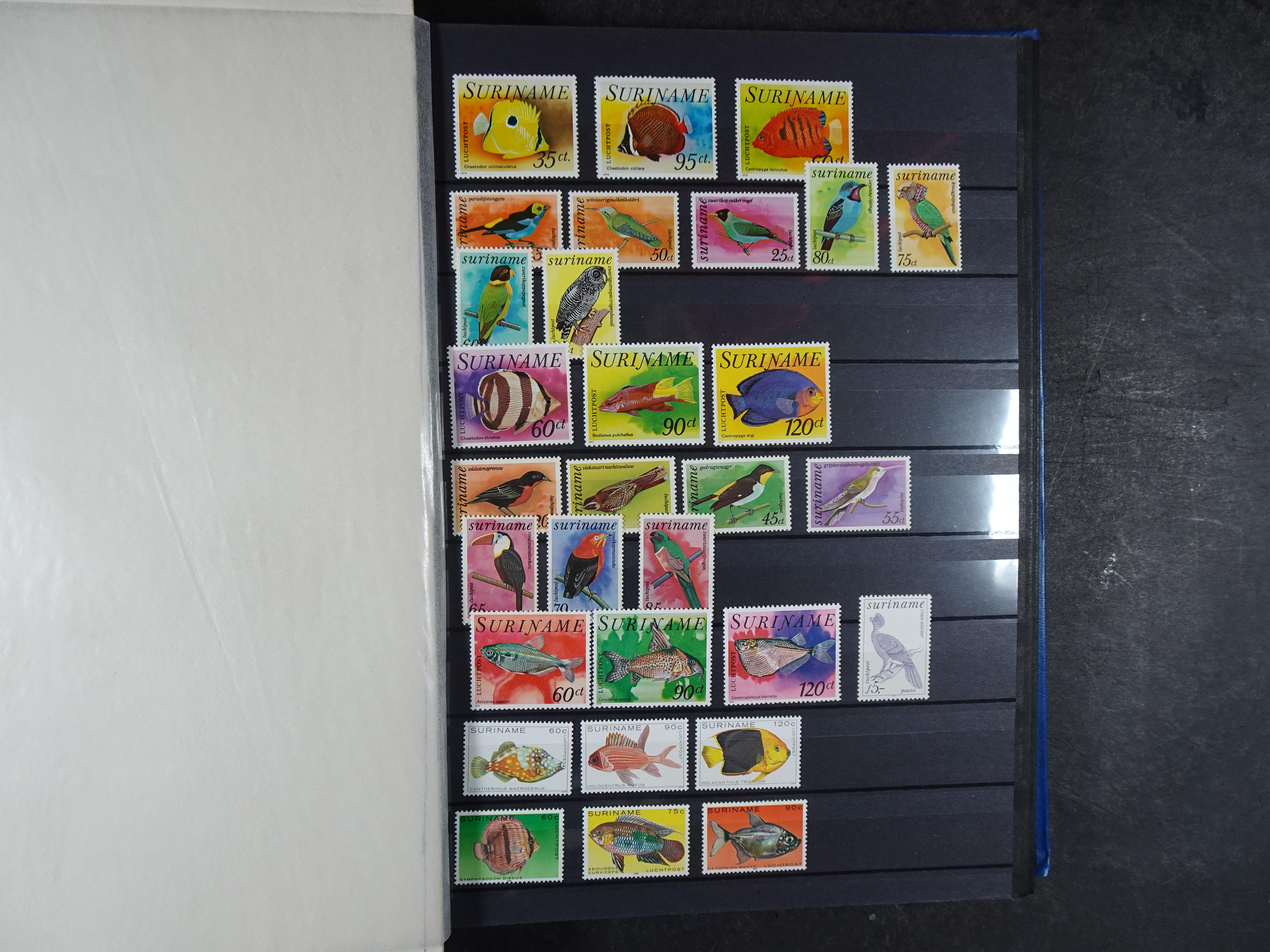 Mooie collectie vanaf klassiek. 
Veel beter materiaal. 75