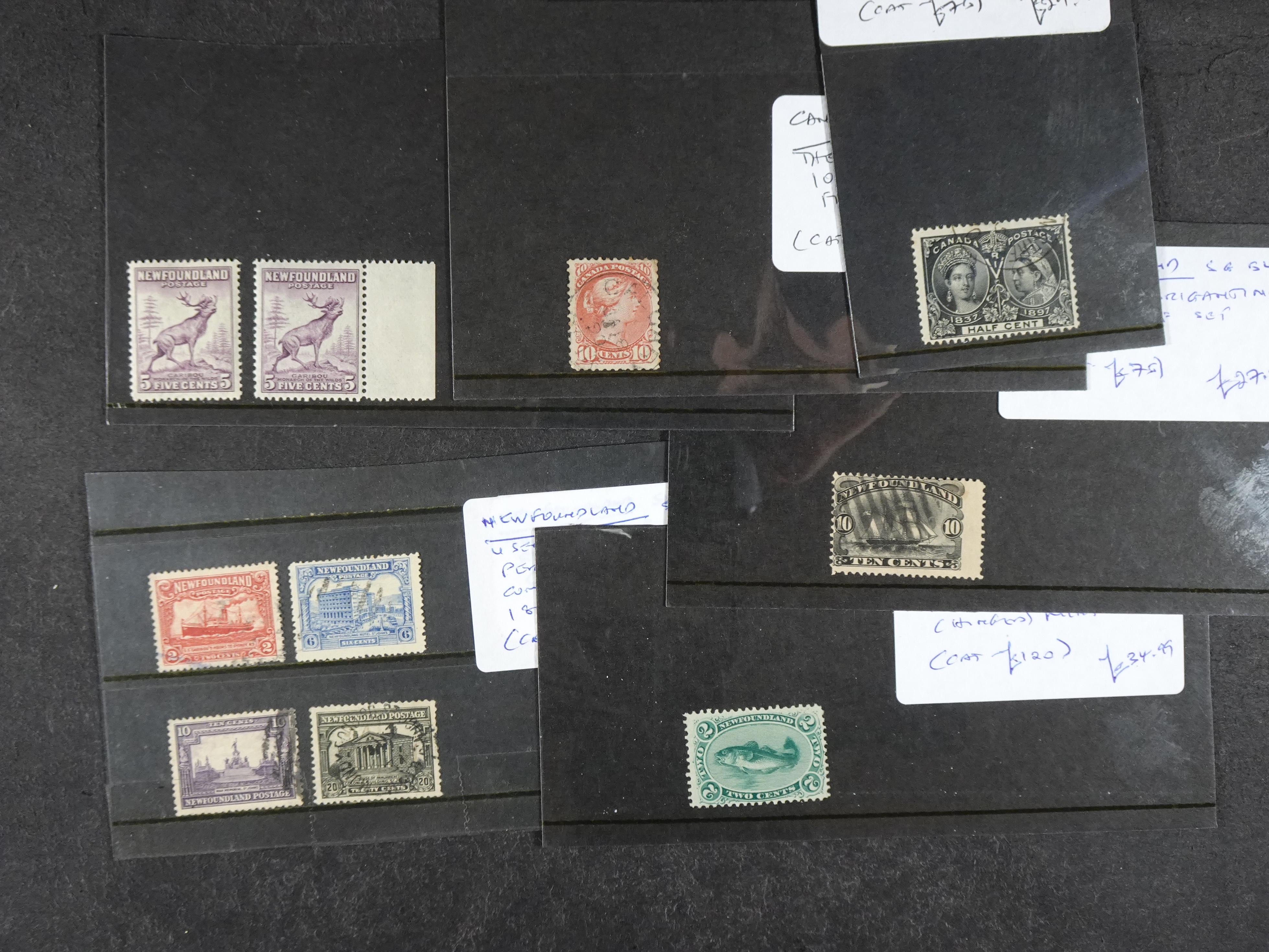 + Newfoundland beter materiaal op kaartjes, hoge waarde. 2