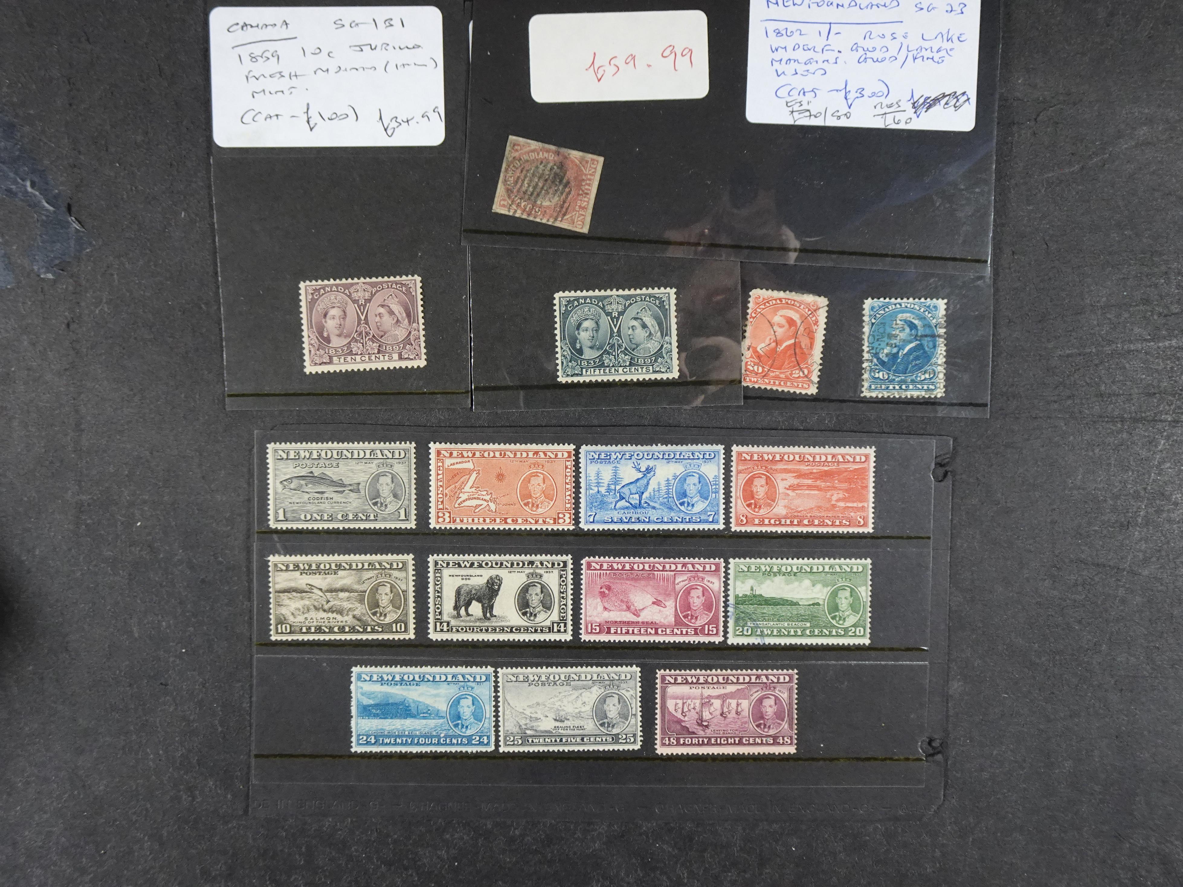 + Newfoundland beter materiaal op kaartjes, hoge waarde. 4