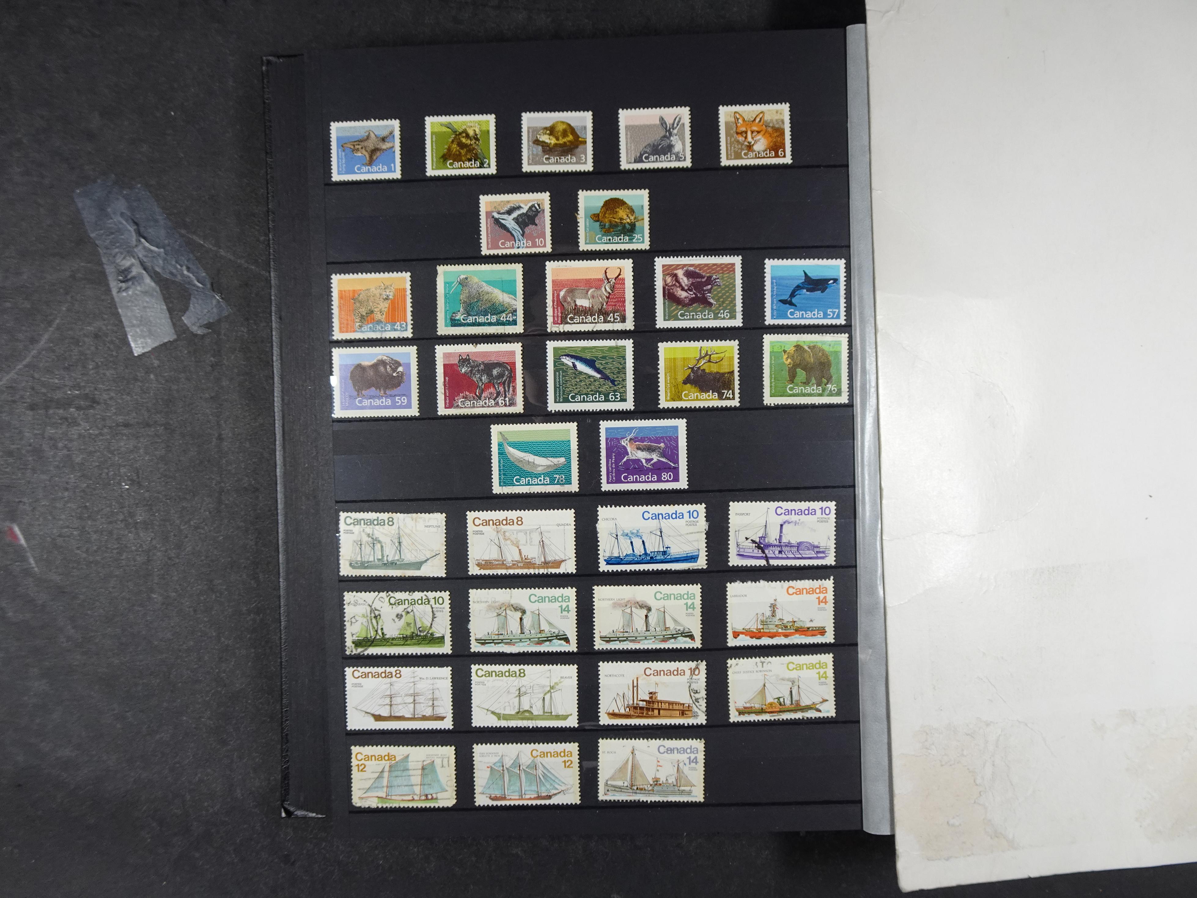 + Newfoundland veel dubbel op elkaar gestoken, mooie verzameling. 24