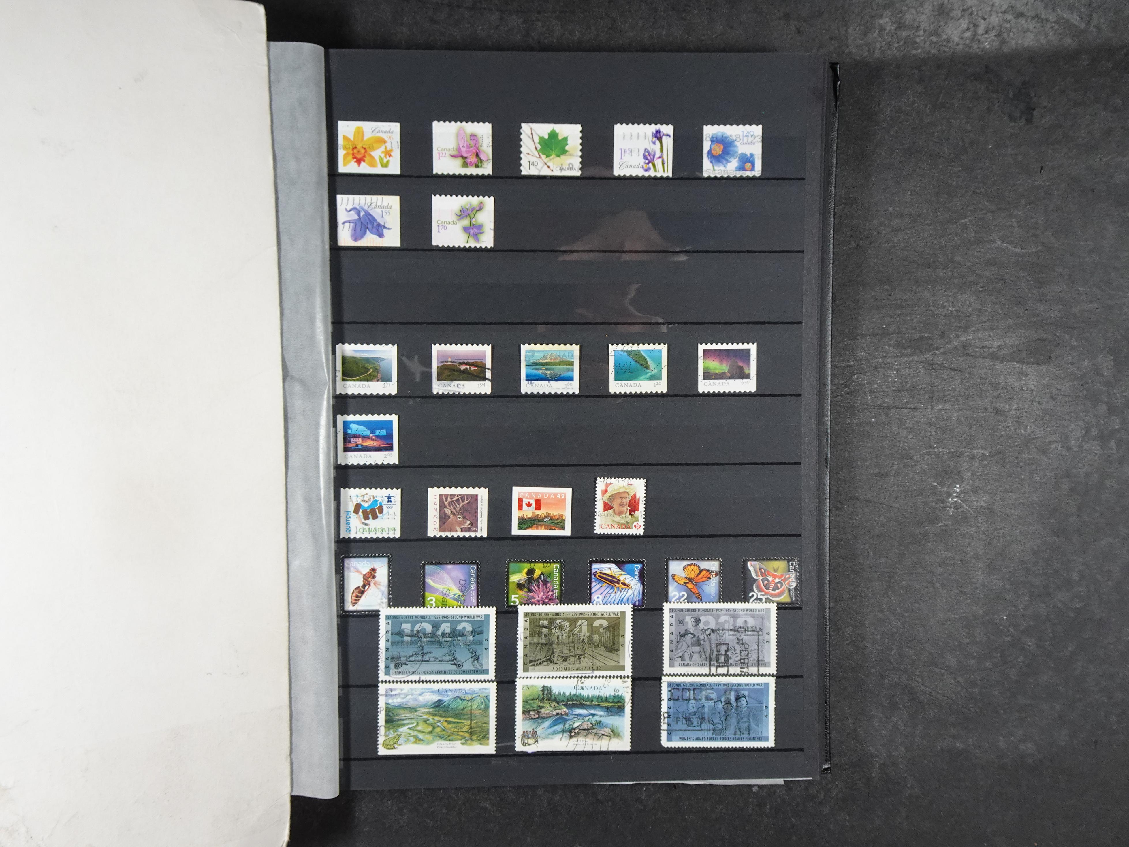 + Newfoundland veel dubbel op elkaar gestoken, mooie verzameling. 33