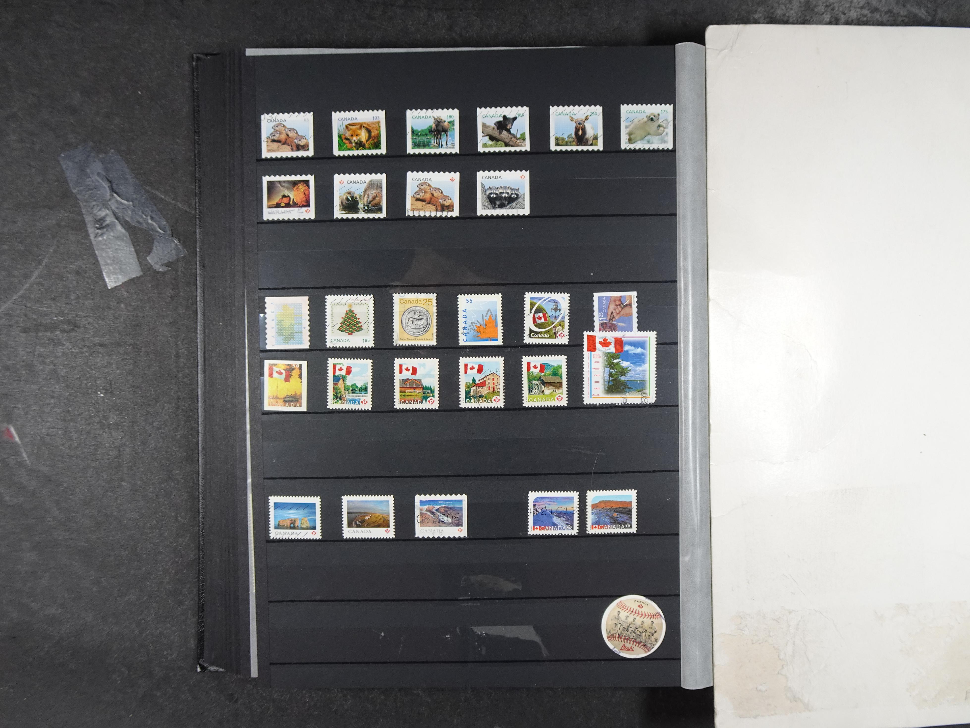 + Newfoundland veel dubbel op elkaar gestoken, mooie verzameling. 34