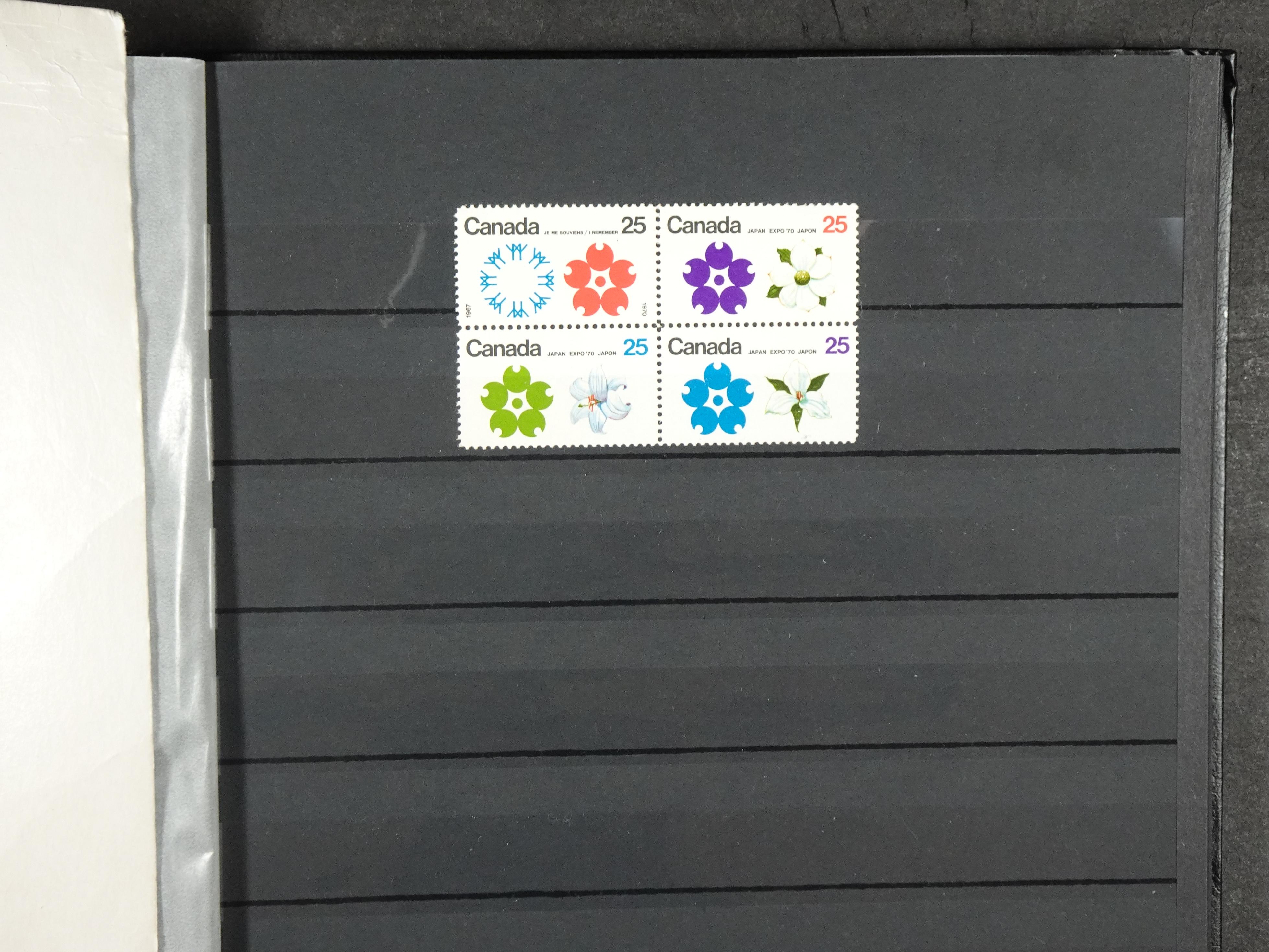 + Newfoundland veel dubbel op elkaar gestoken, mooie verzameling. 45