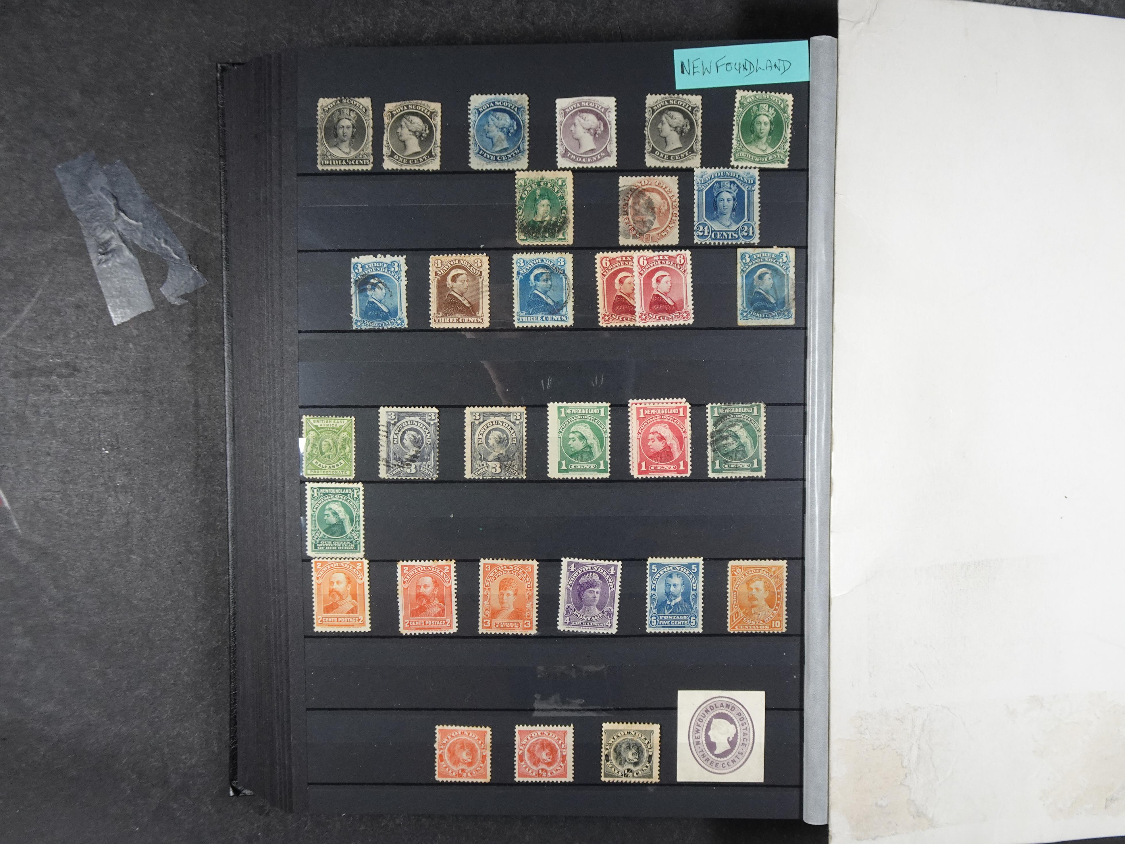 + Newfoundland veel dubbel op elkaar gestoken, mooie verzameling. 48