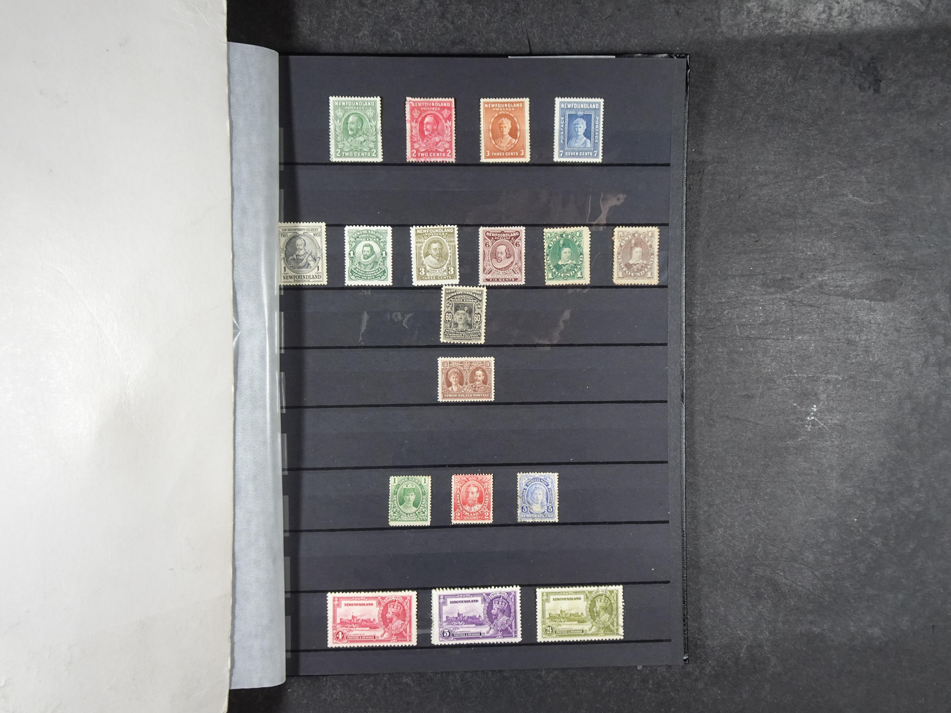 + Newfoundland veel dubbel op elkaar gestoken, mooie verzameling. 49