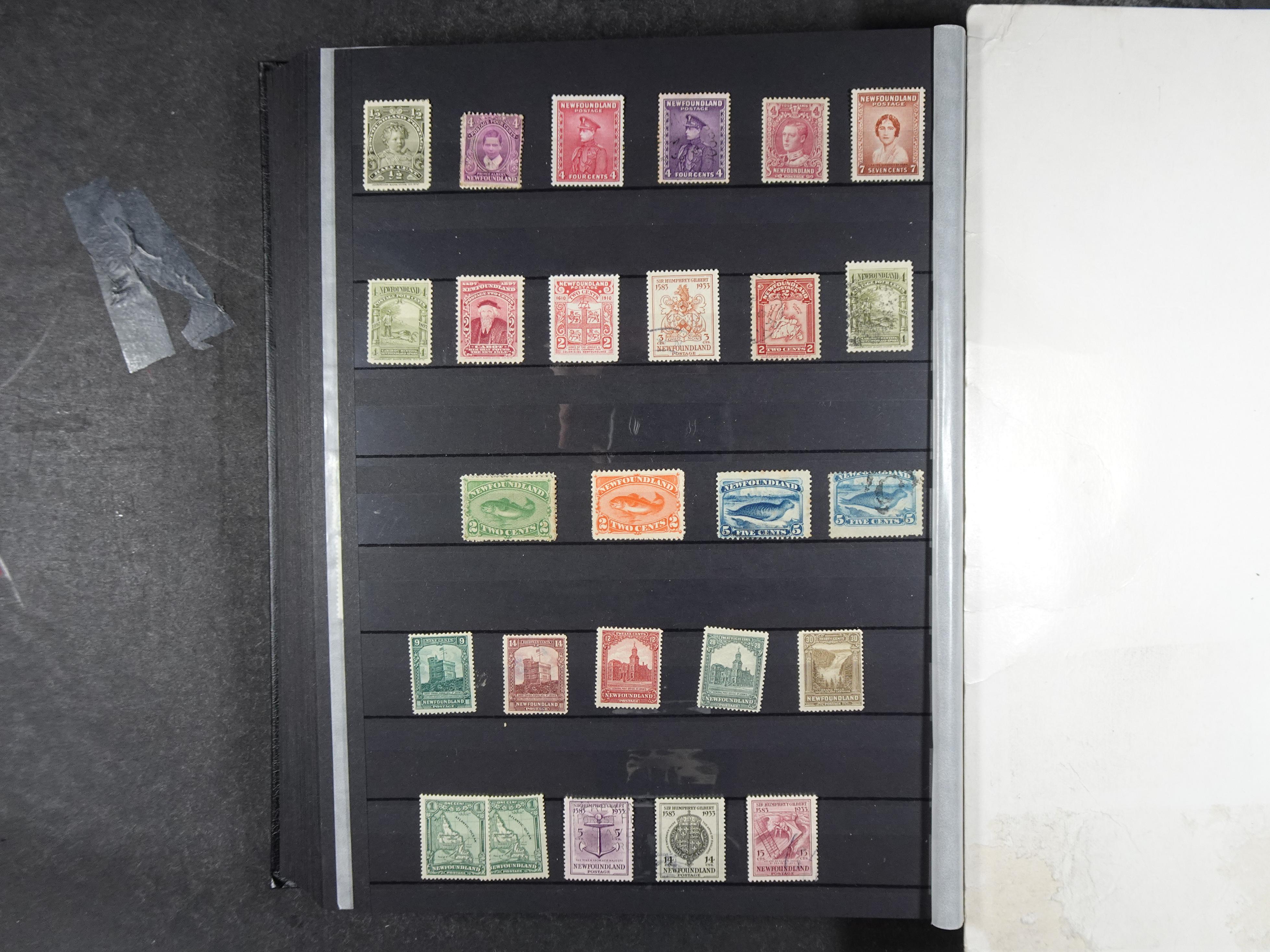 + Newfoundland veel dubbel op elkaar gestoken, mooie verzameling. 50