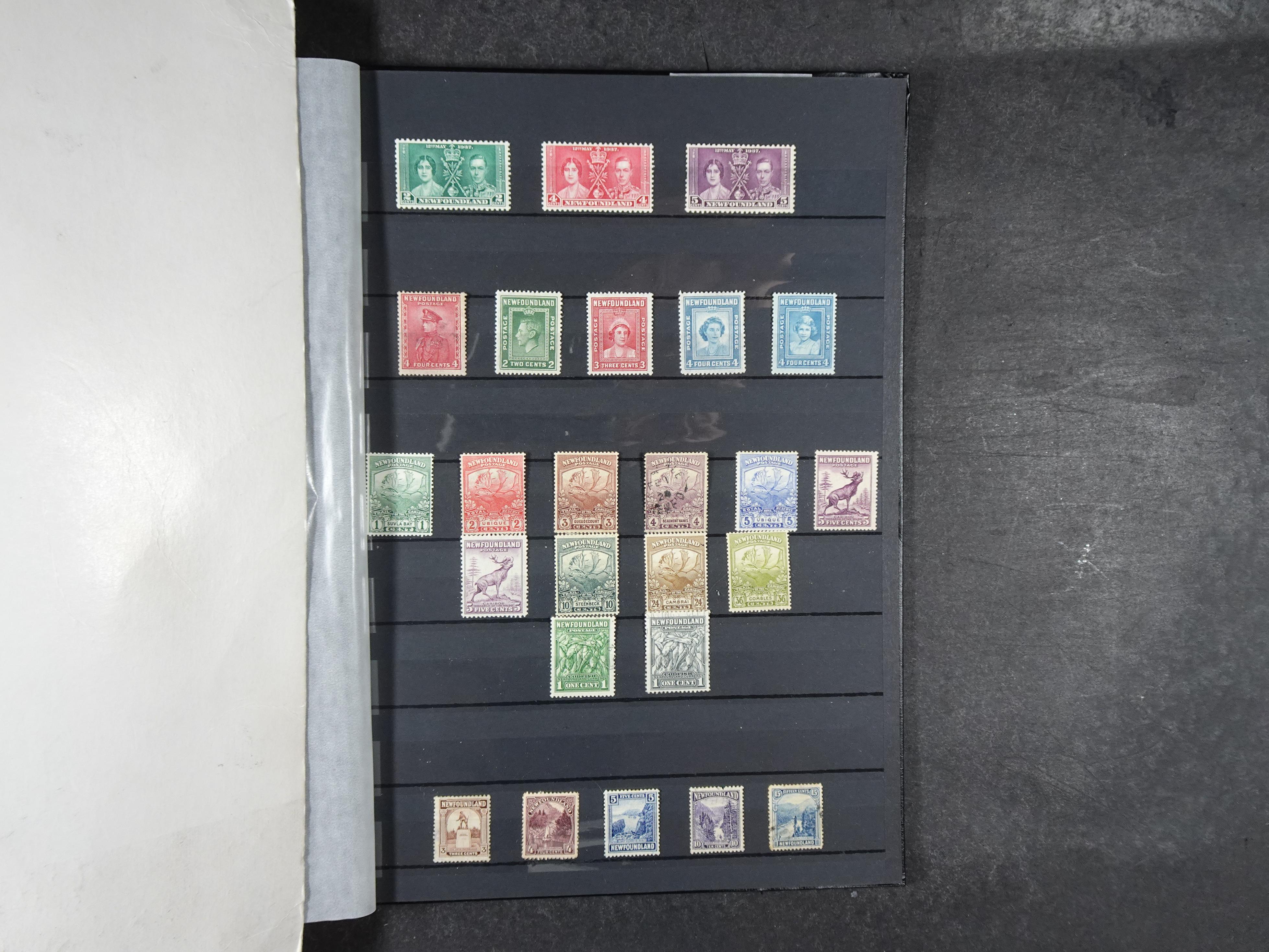 + Newfoundland veel dubbel op elkaar gestoken, mooie verzameling. 51