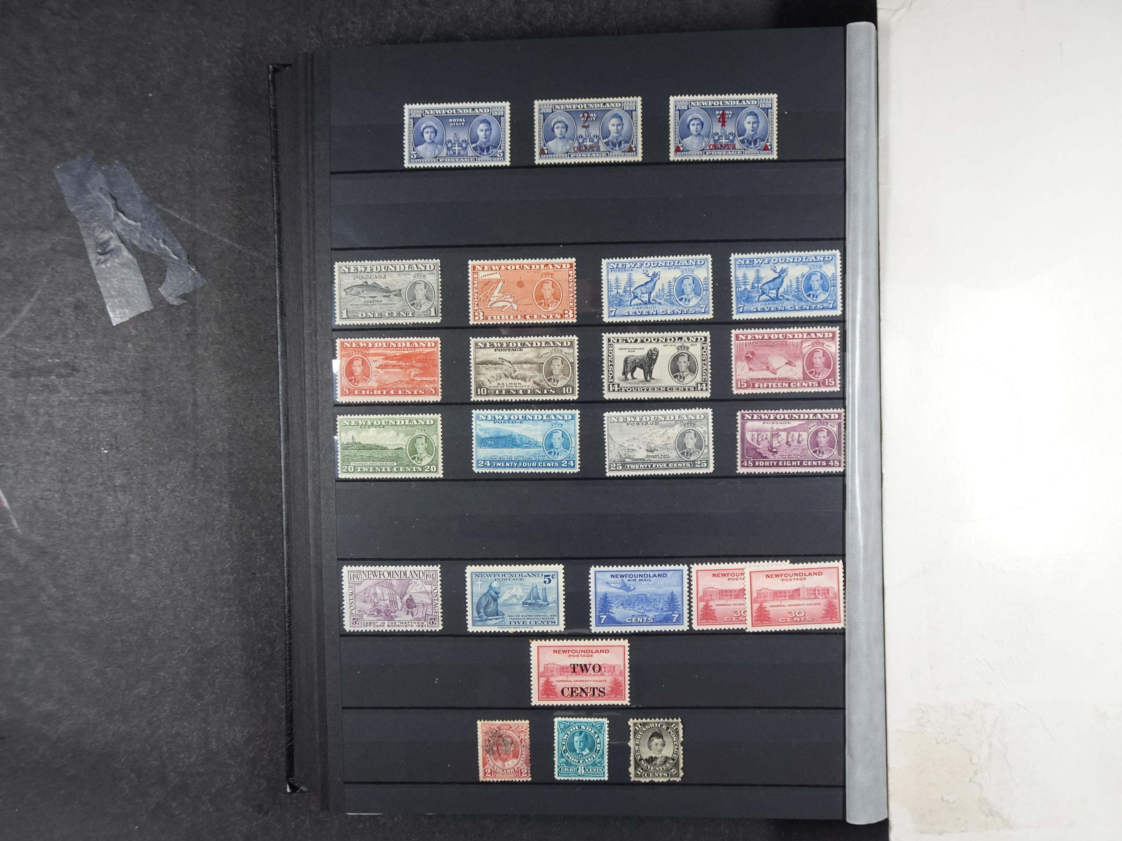 + Newfoundland veel dubbel op elkaar gestoken, mooie verzameling. 52