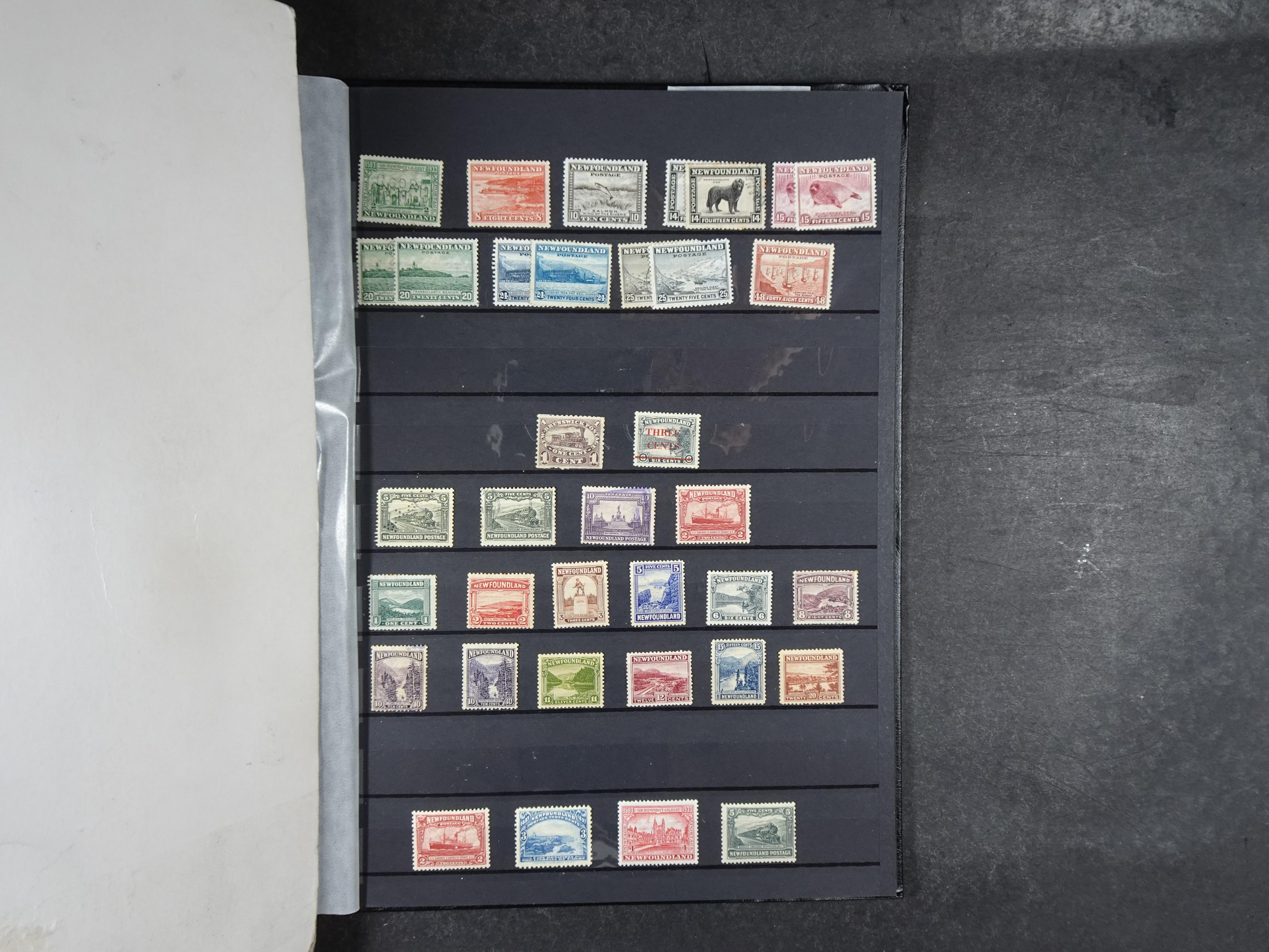 + Newfoundland veel dubbel op elkaar gestoken, mooie verzameling. 53