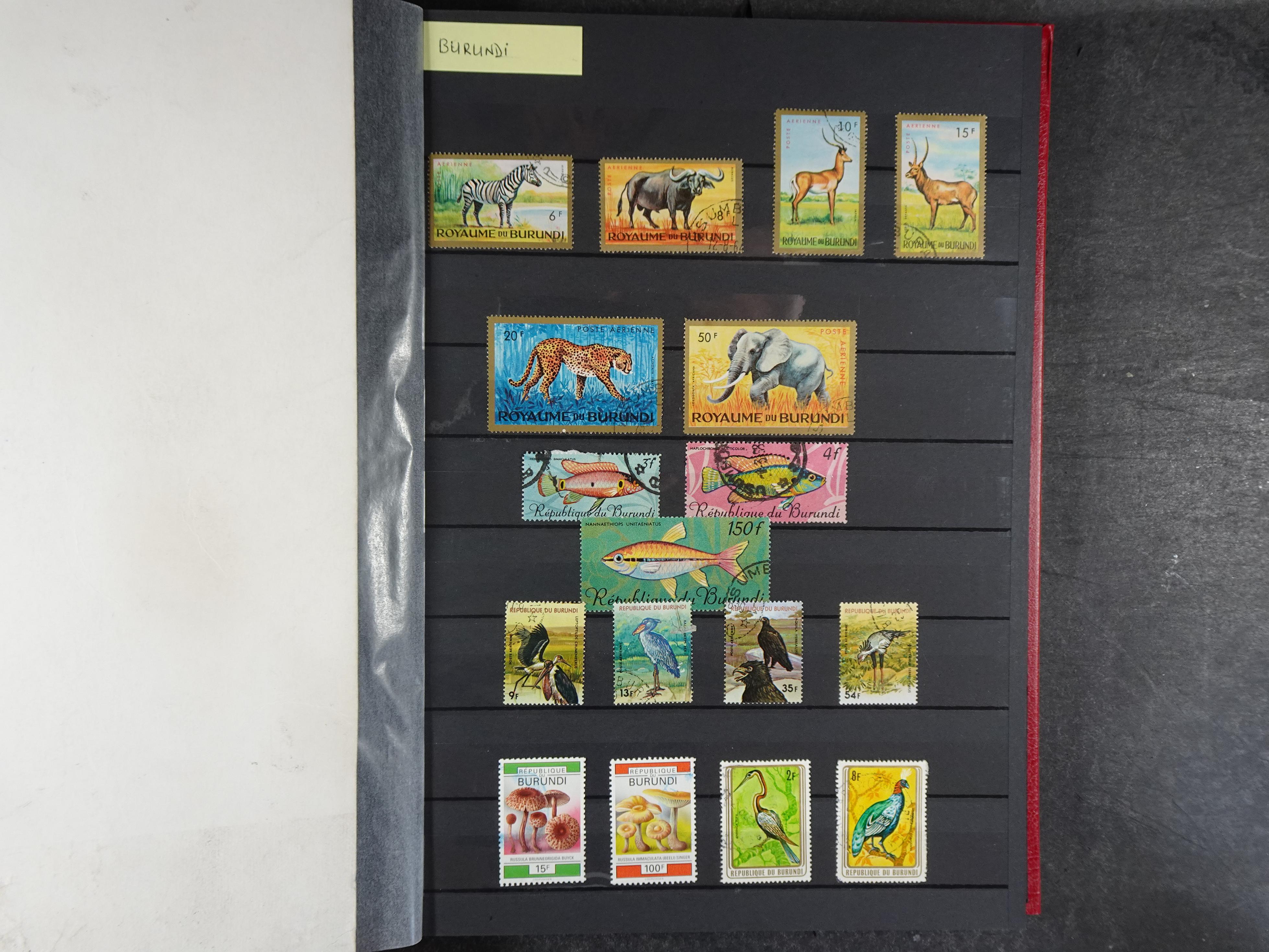 Mooie verzameling vaak dubbel aanwezig. 32