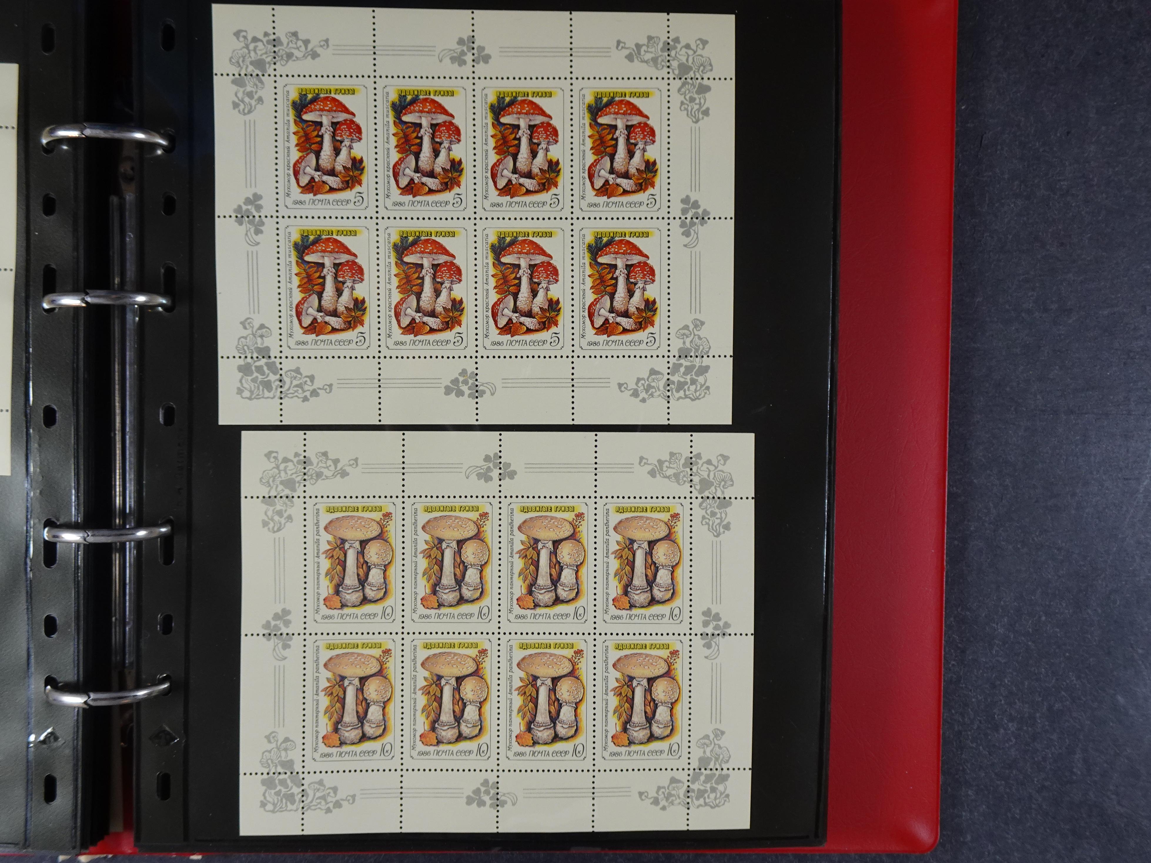 Collectie Kleinbogen, zeer hoge waarde. 61