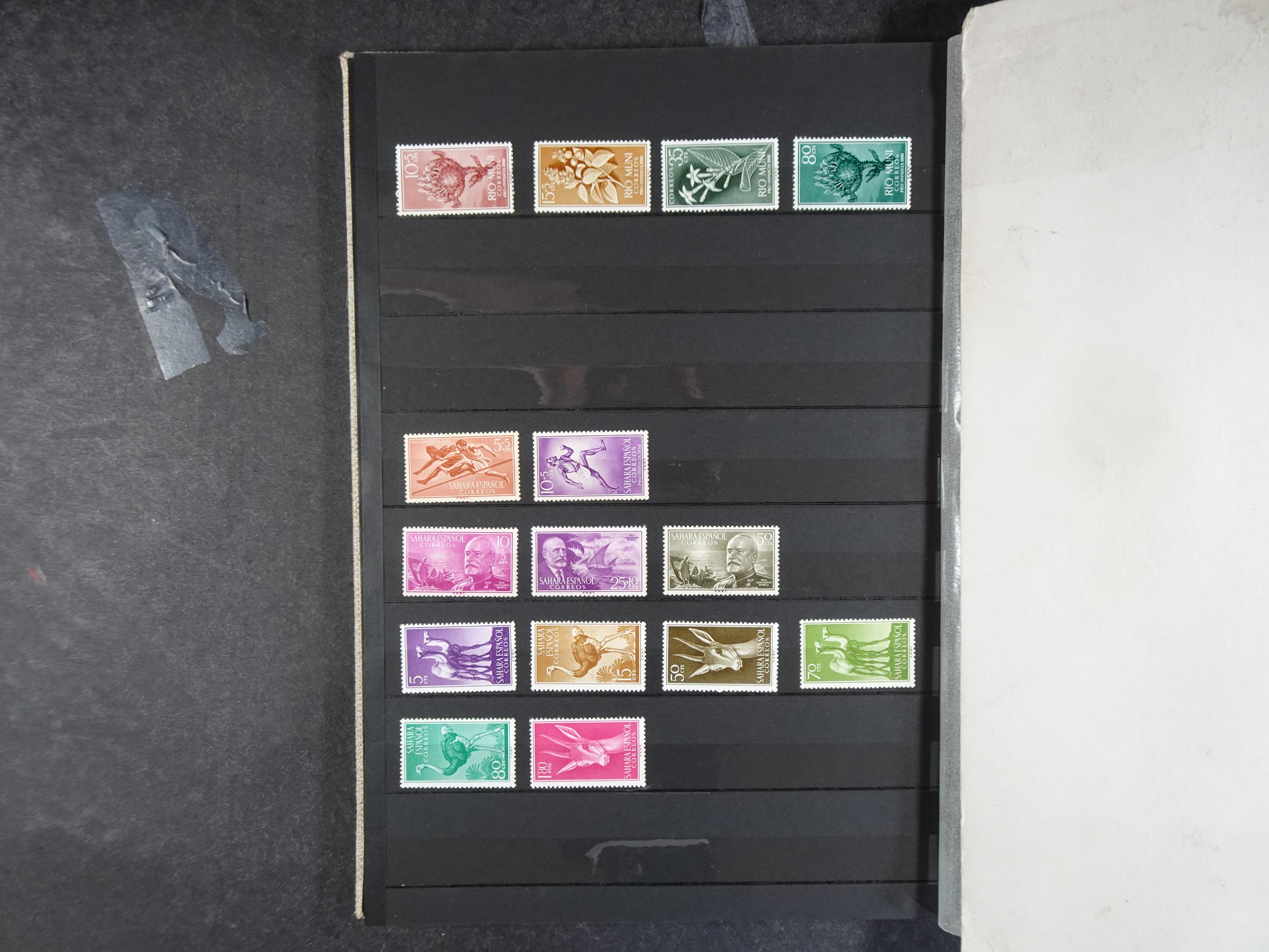 Inclusief koloniën. 14