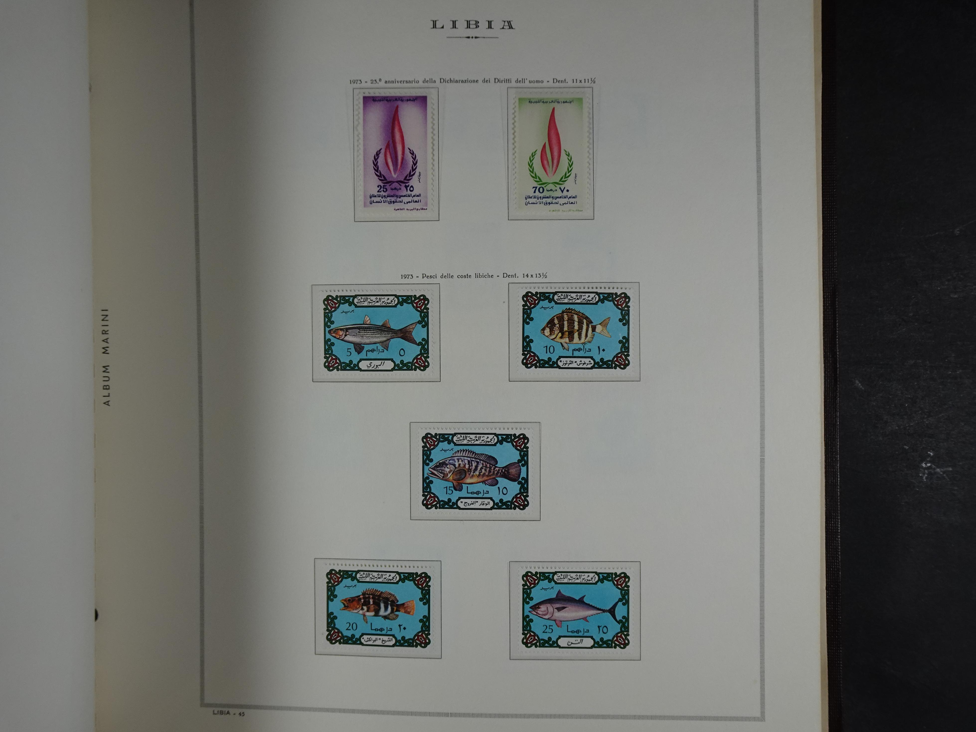 Bijna compleet verzameling Libië en Somalië vrijwel geheel postfris waar onder betere series erg schaars materiaal.  35