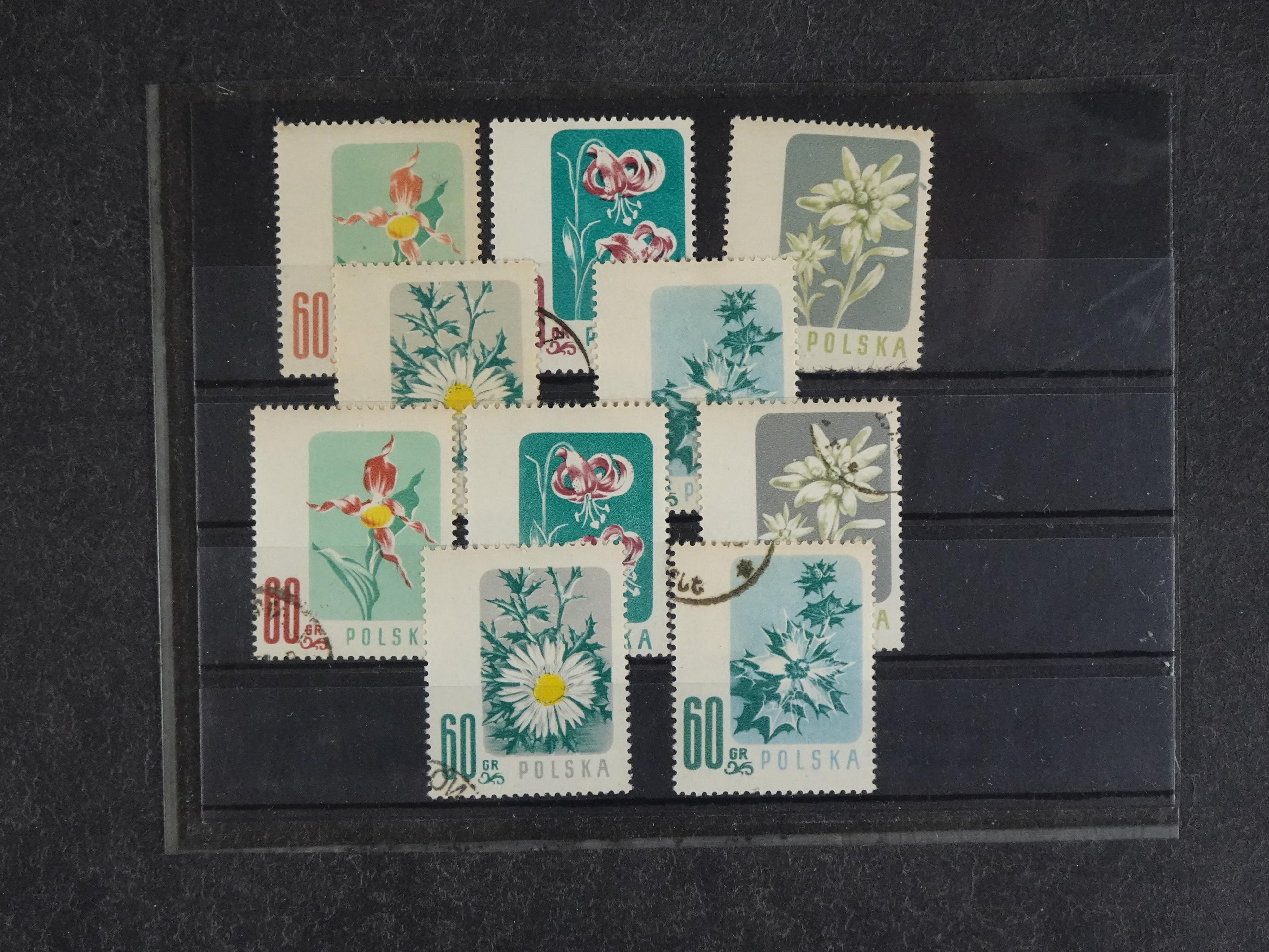 Wereld op kaartjes leuke uitzoekpartij. 203