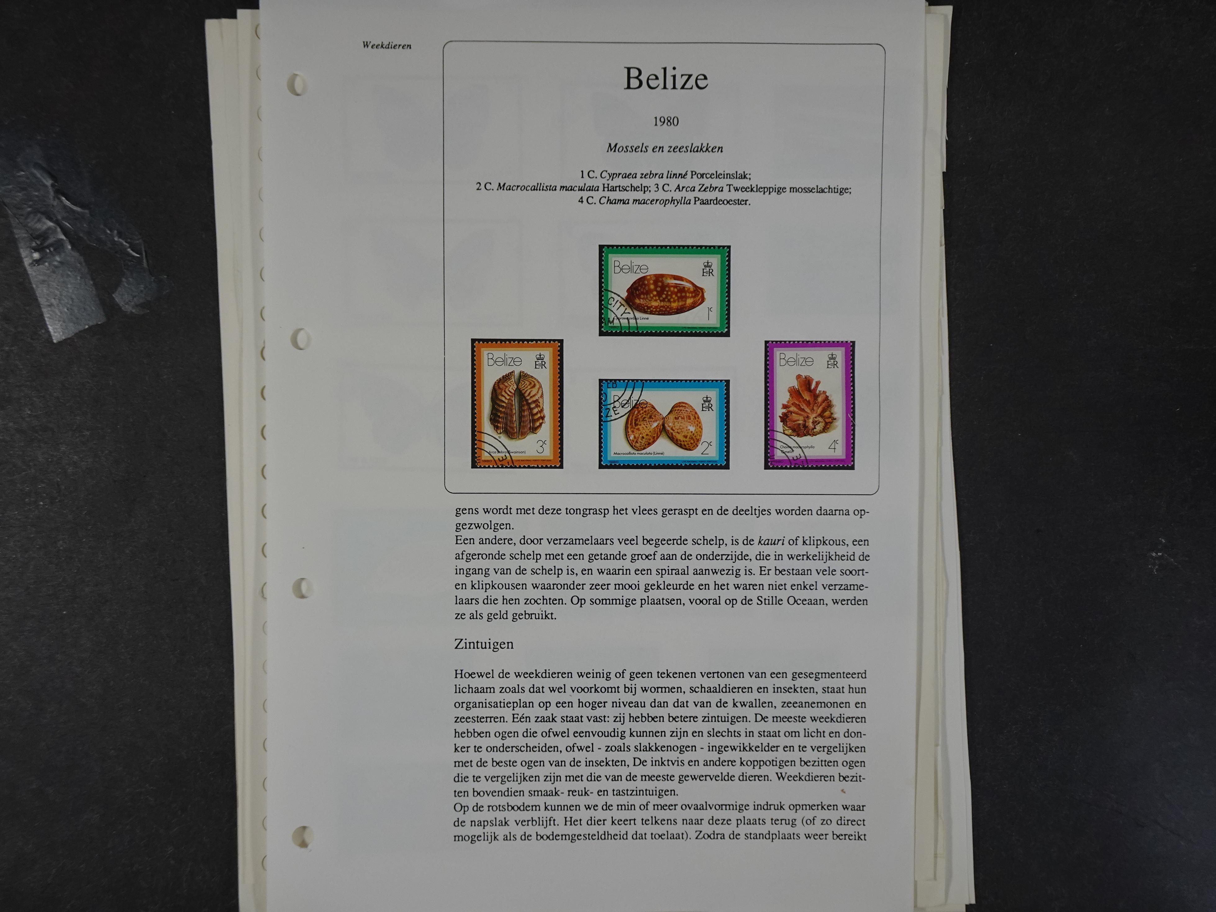 Doos met velerlei verrassingen waar onder betere zegels.
FUNDGRUBE. 265