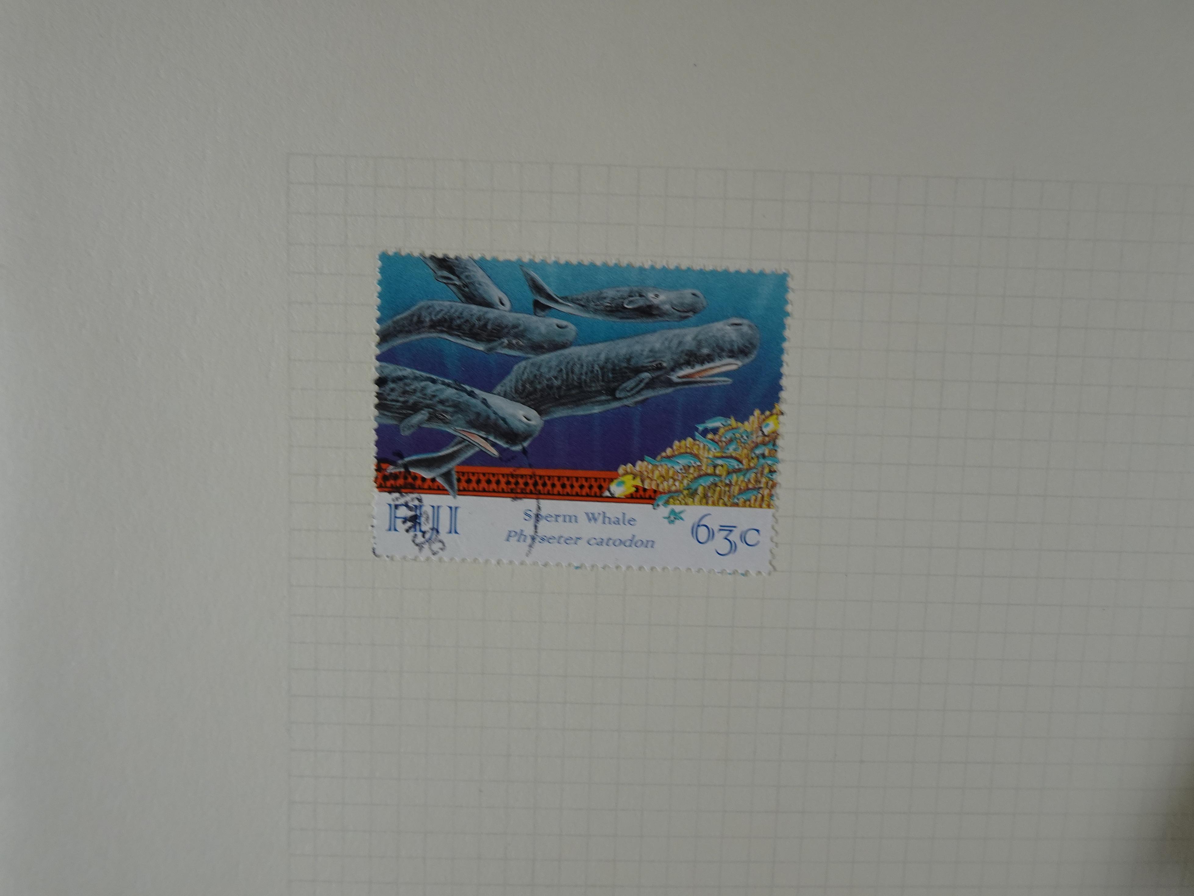 Doos met velerlei verrassingen waar onder betere zegels.
FUNDGRUBE. 398